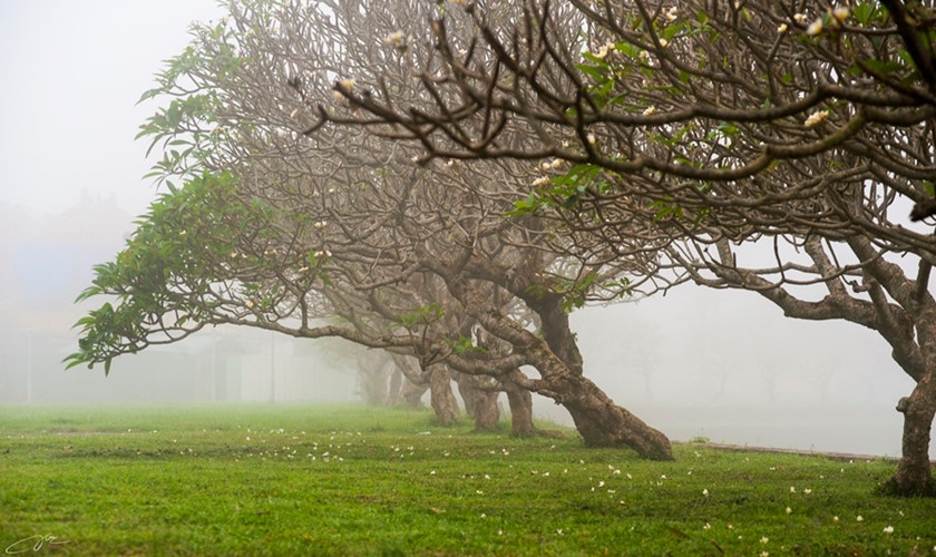 Ngam xu Hue huyen ao,  mong mo trong suong mo,  xu hue trong suong,  ngam hue,  co do anh 7