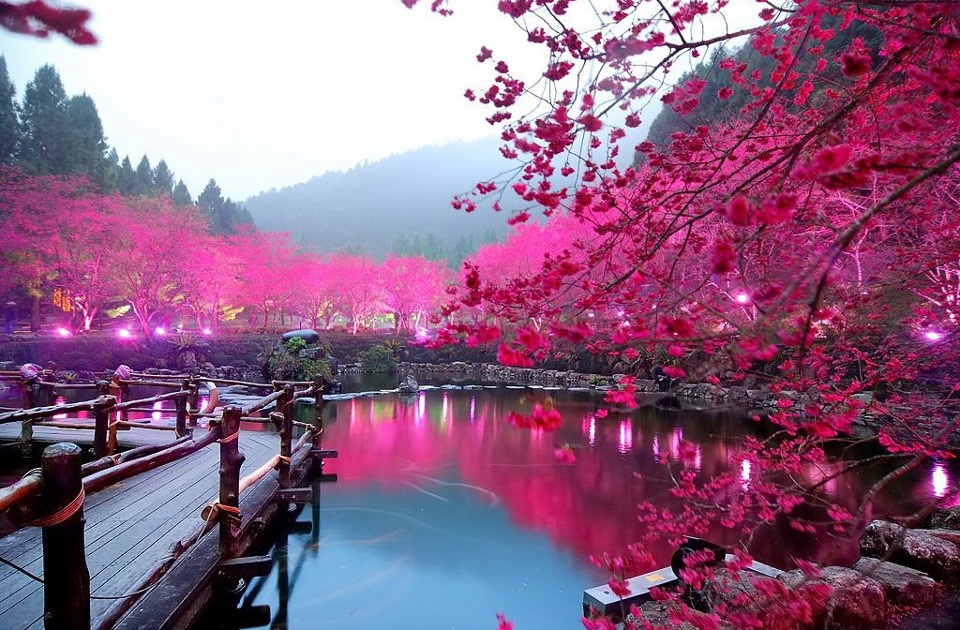 Tour du lich dip Gio To va 30/4 tang gia hinh anh