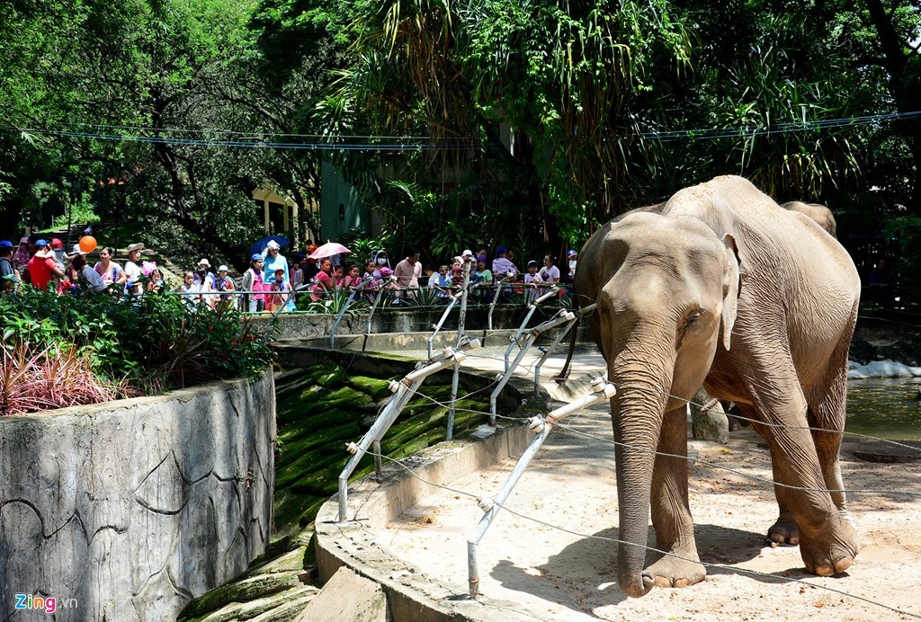 10 diem du lich hut khach nhat TP HCM anh 3