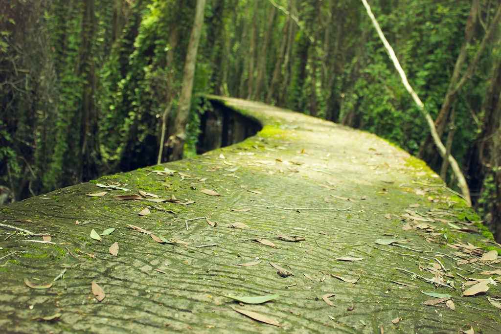 Du lịch miền tây lễ 30/4 ảnh 1 Du lich mien tay le 30/4 anh 1