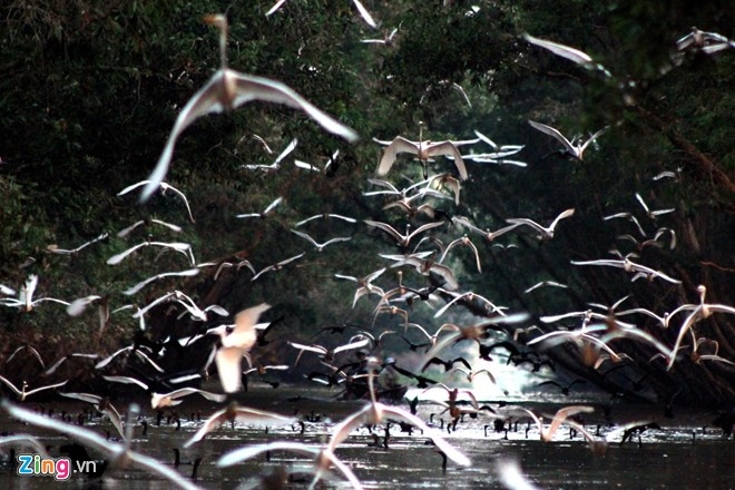 Du lich mien tay le 30/4 anh 12