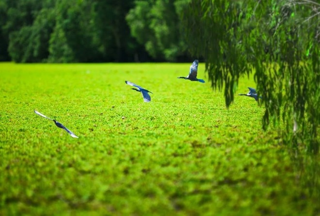 Kham pha 5 tinh mien Tay dip gio To Hung Vuong hinh anh