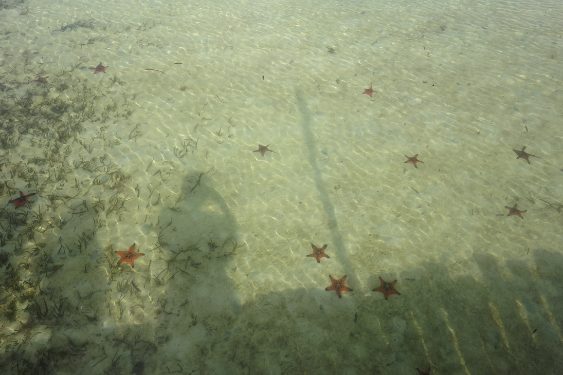 Du lịch phú quốc ảnh 8 Du lich phu quoc anh 8