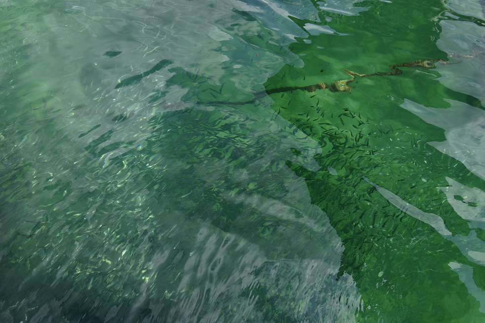 Du lịch phú quốc ảnh 6 Du lich phu quoc anh 6