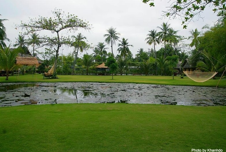 Nhung diem tron nang dip gio To Hung Vuong o TP HCM hinh anh