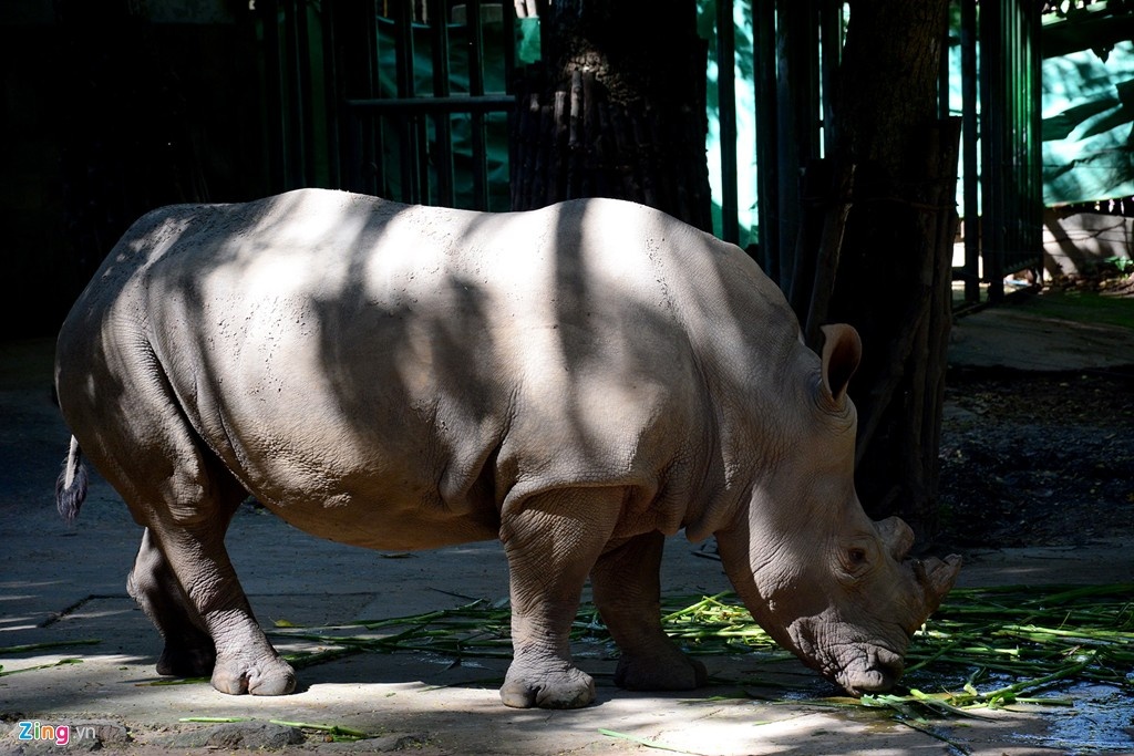 dia diem vui choi ngay 1/6 anh 7