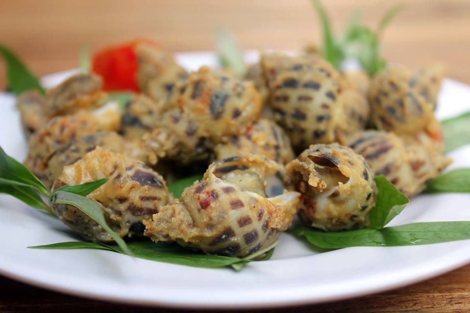 ốc hương ảnh 4 oc huong anh 4