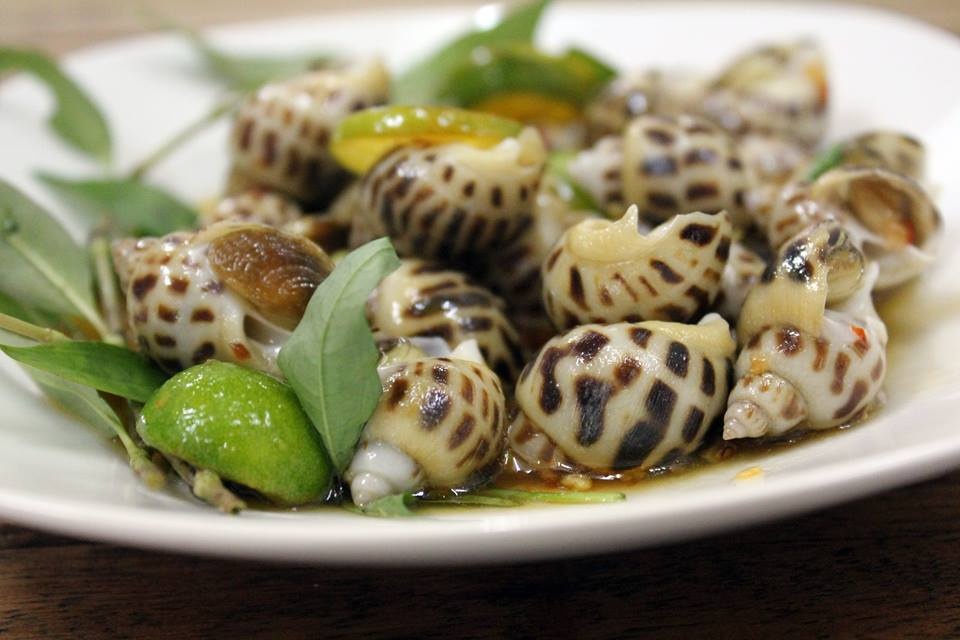 ốc hương ảnh 6 oc huong anh 6