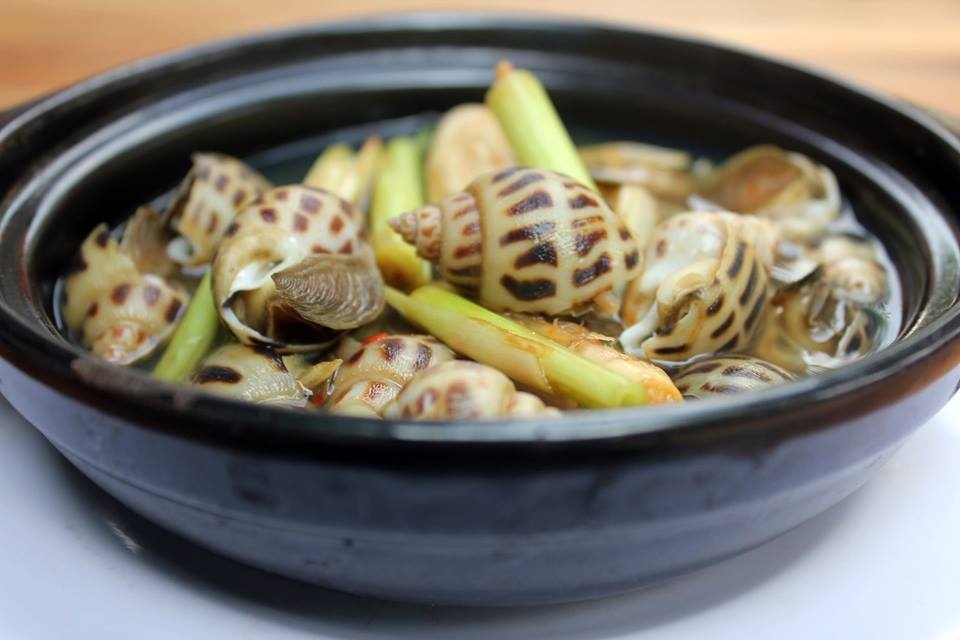 ốc hương ảnh 1 oc huong anh 1