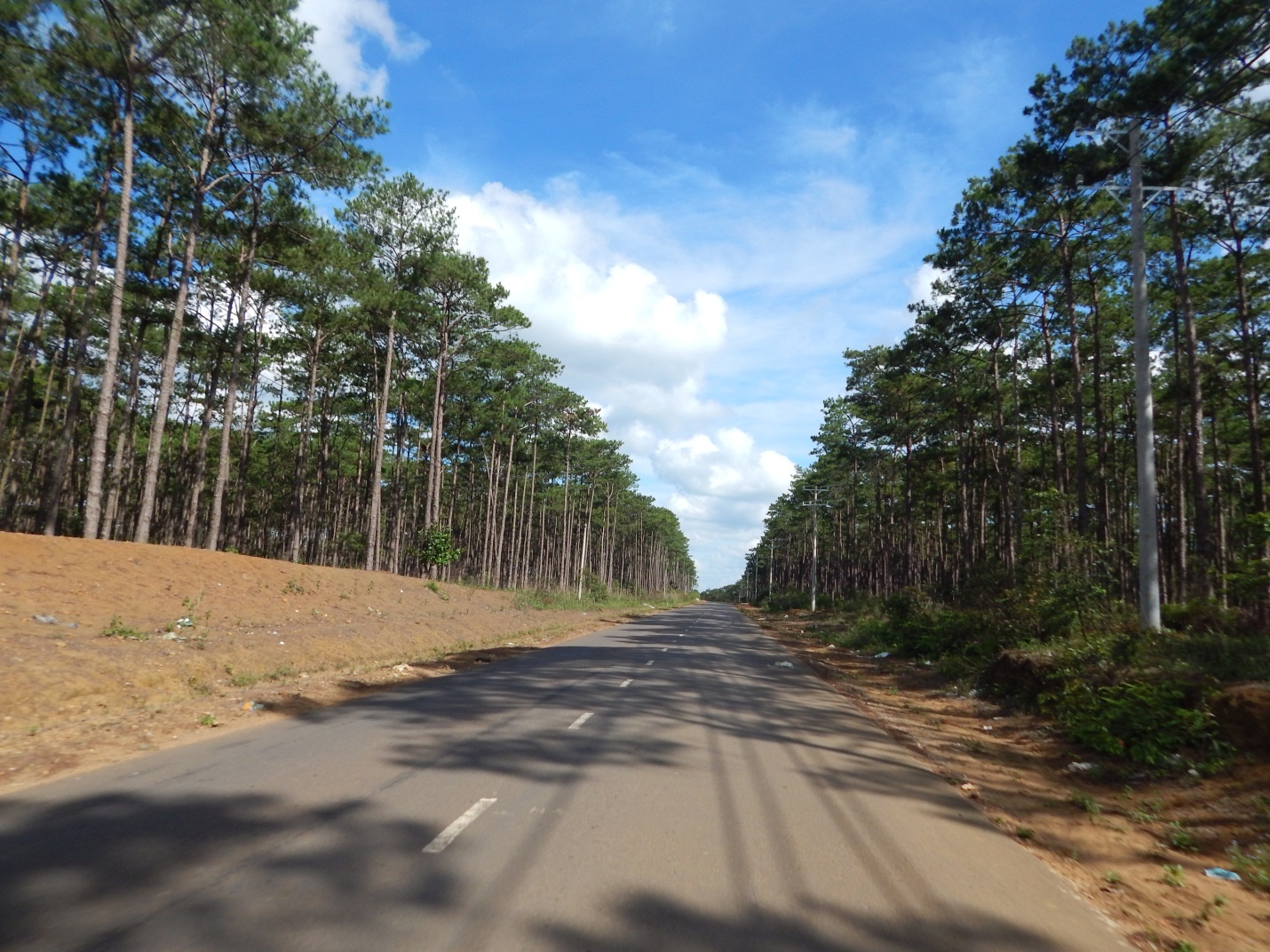 đà lạt ảnh 10 da lat anh 10