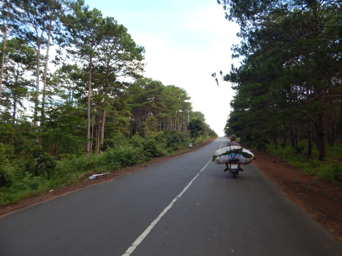 đà lạt ảnh 8 da lat anh 8