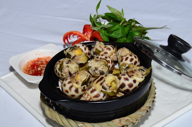 ốc hương ảnh 3 oc huong anh 3