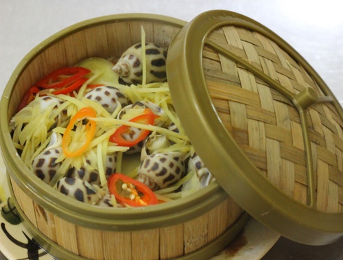 ốc hương ảnh 2 oc huong anh 2