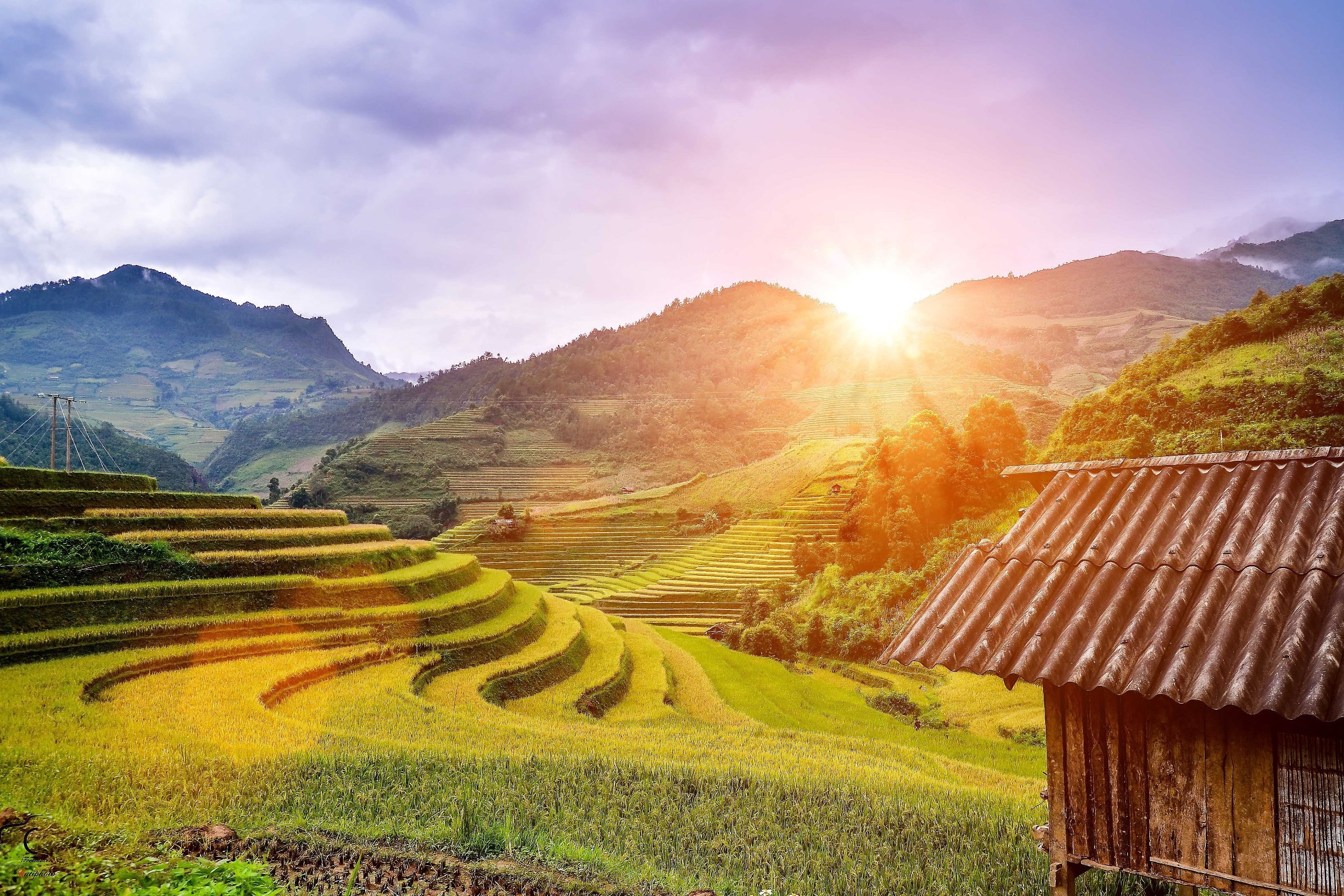 Nhung mau hoa tren duong phuot mua thu hinh anh