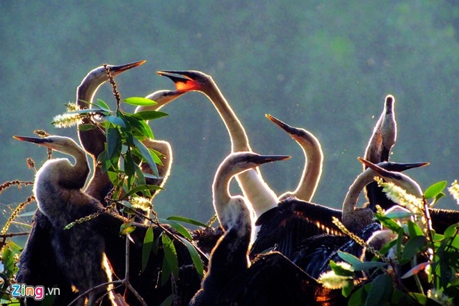 Nhung diem den hap dan cua mien Tay mua nuoc noi hinh anh