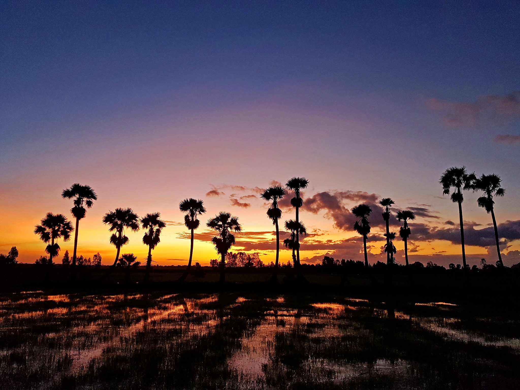 Nhung diem tuyet dep cua An Giang mua nuoc noi hinh anh