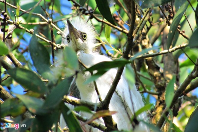 kinh nghiem du lich Can Tho anh 3