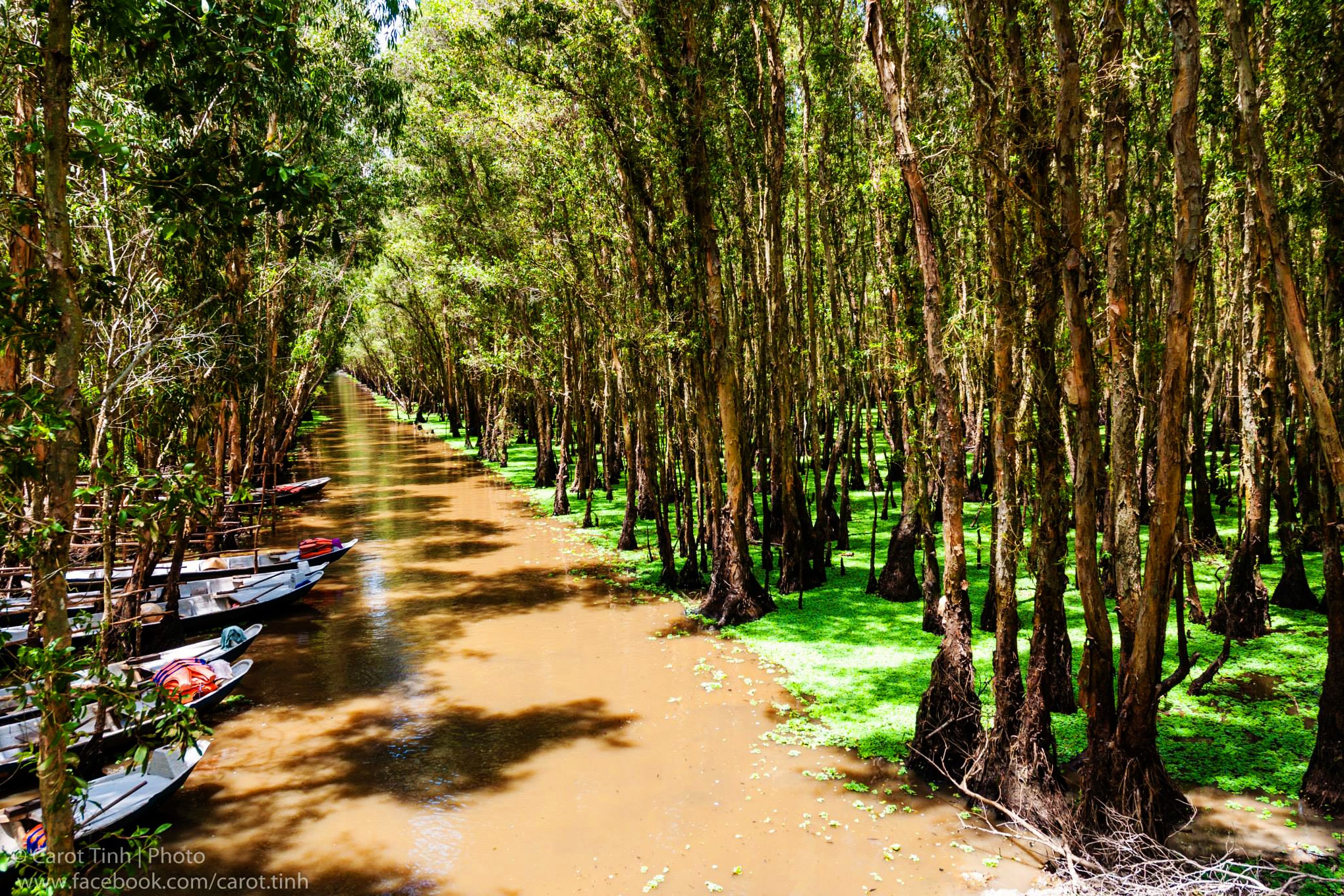 mien tay mua nuoc noi anh 5