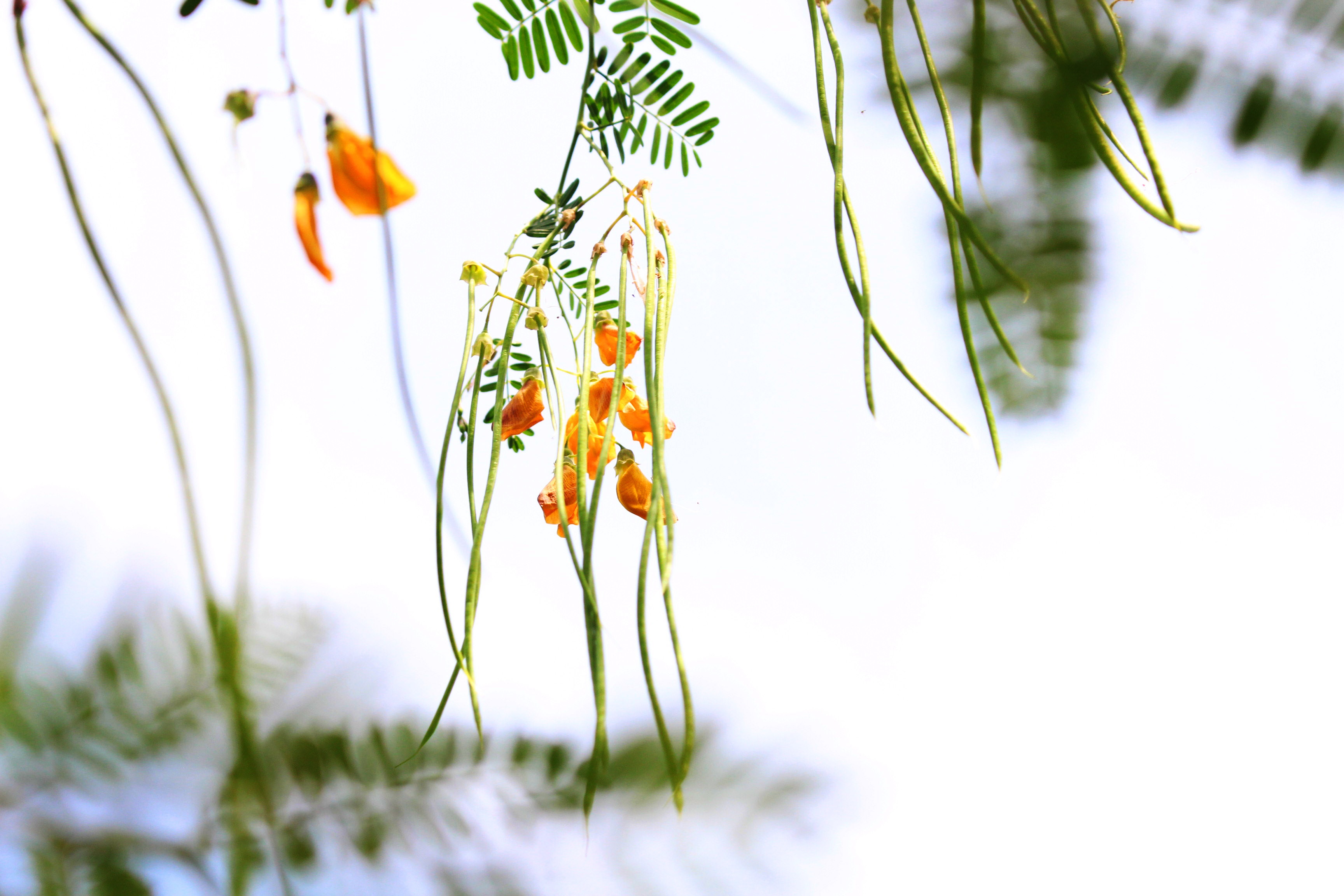 mien tay mua nuoc noi anh 4