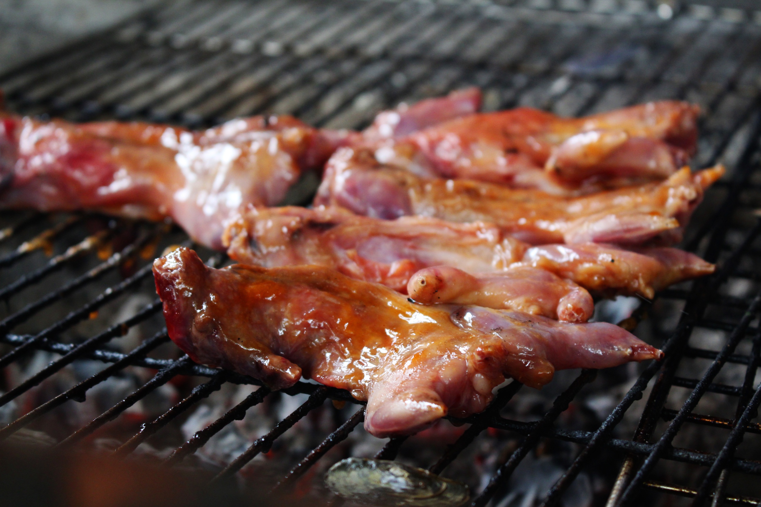 mien tay mua nuoc noi anh 10