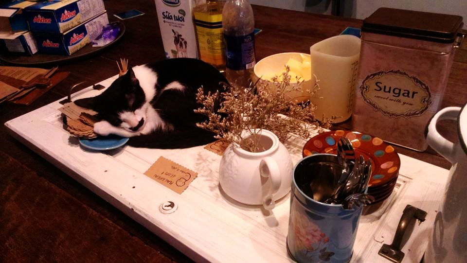 cà phê sài gòn ảnh 2 ca phe sai gon anh 2