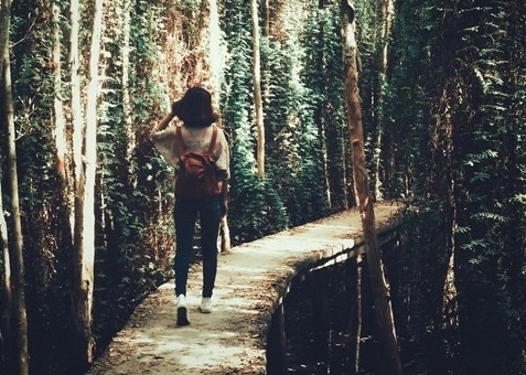 Nhung diem den hoang so gan TP.HCM cho chuyen di mot ngay hinh anh