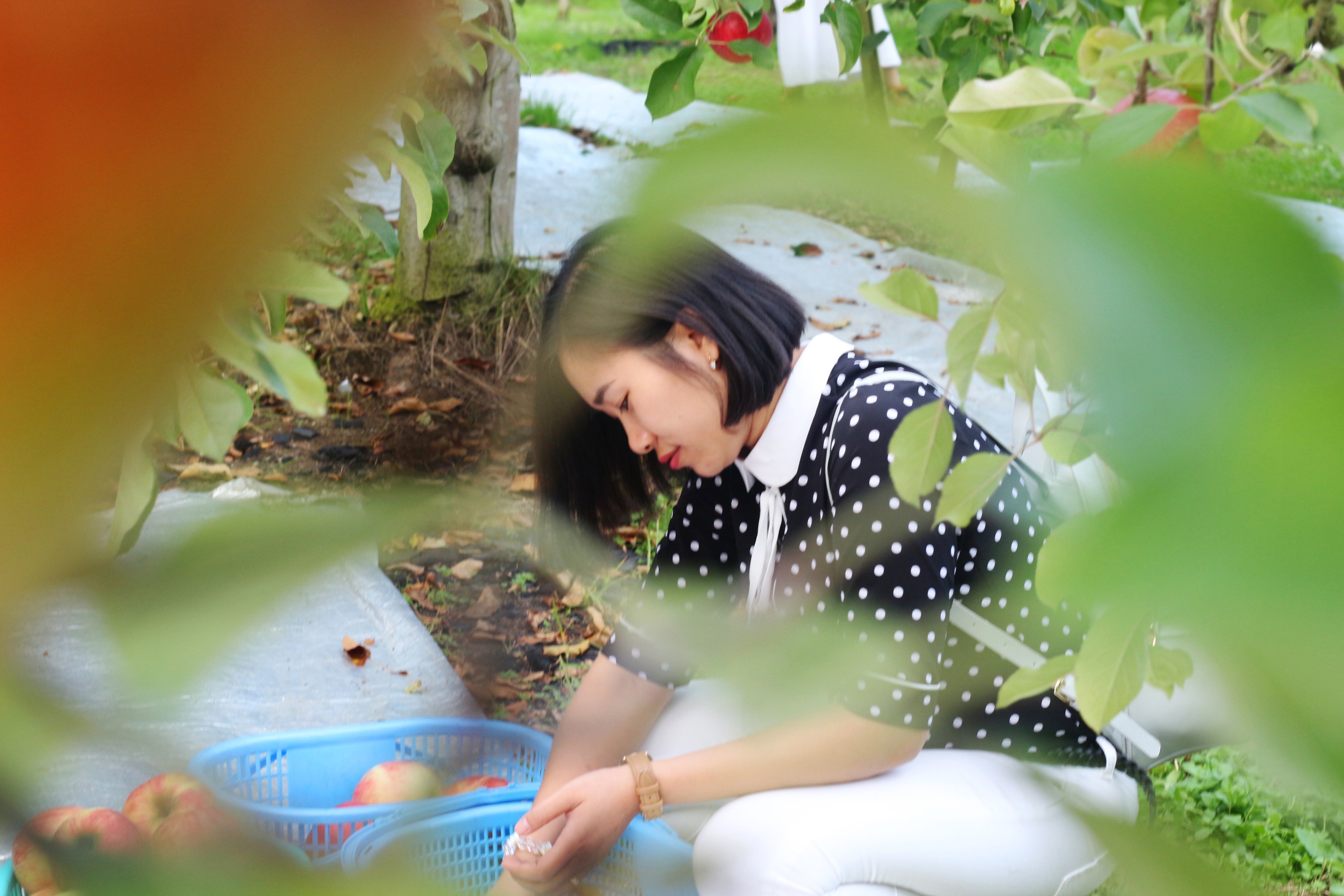 mùa thu đi đâu chơi ảnh 10 mua thu di dau choi anh 10