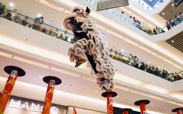 Trinh dien lan su rong tren duong pho TP.HCM hinh anh