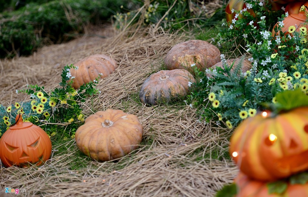 dia diem vui choi halloween o tphcm anh 6