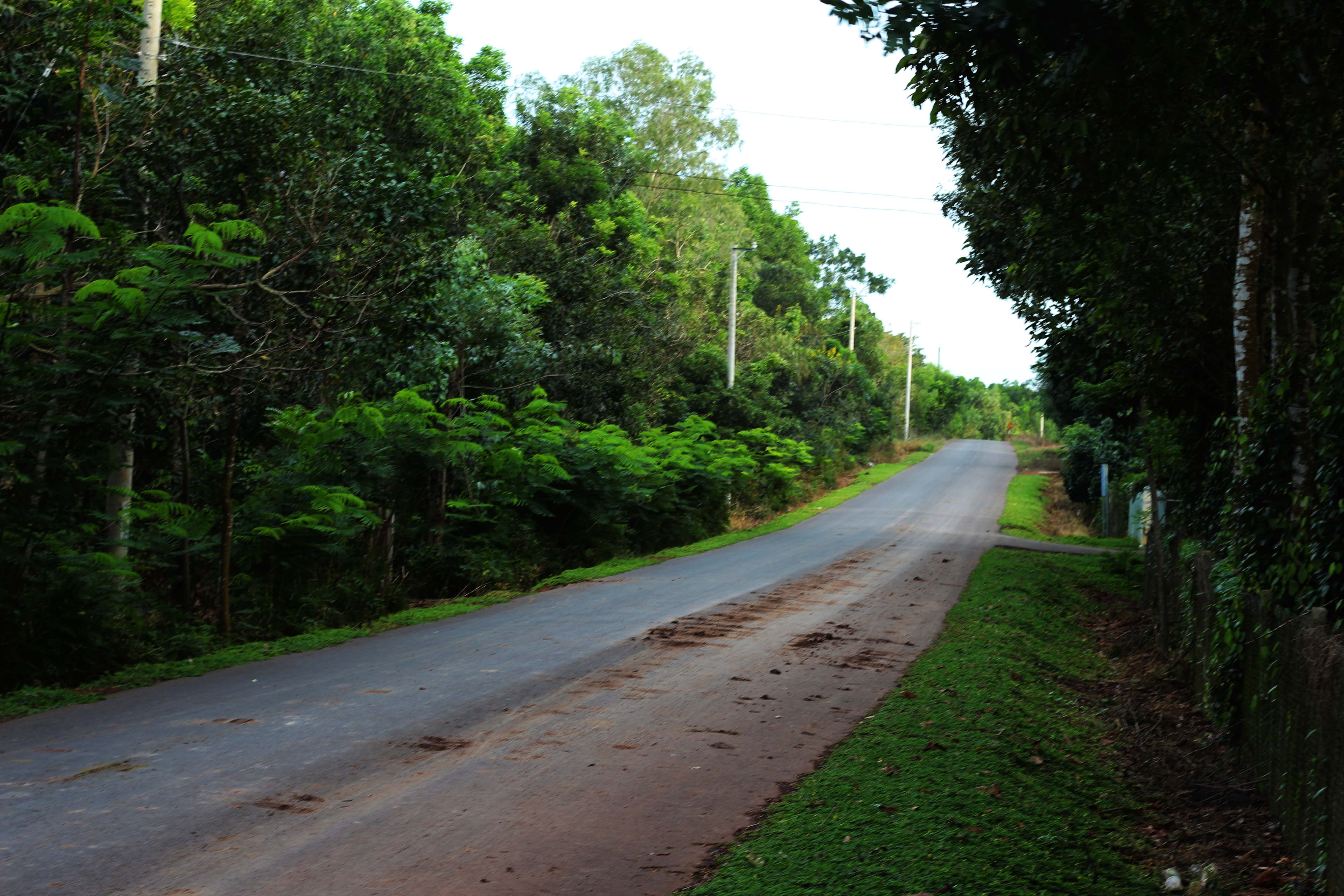 du lich dong nai anh 4