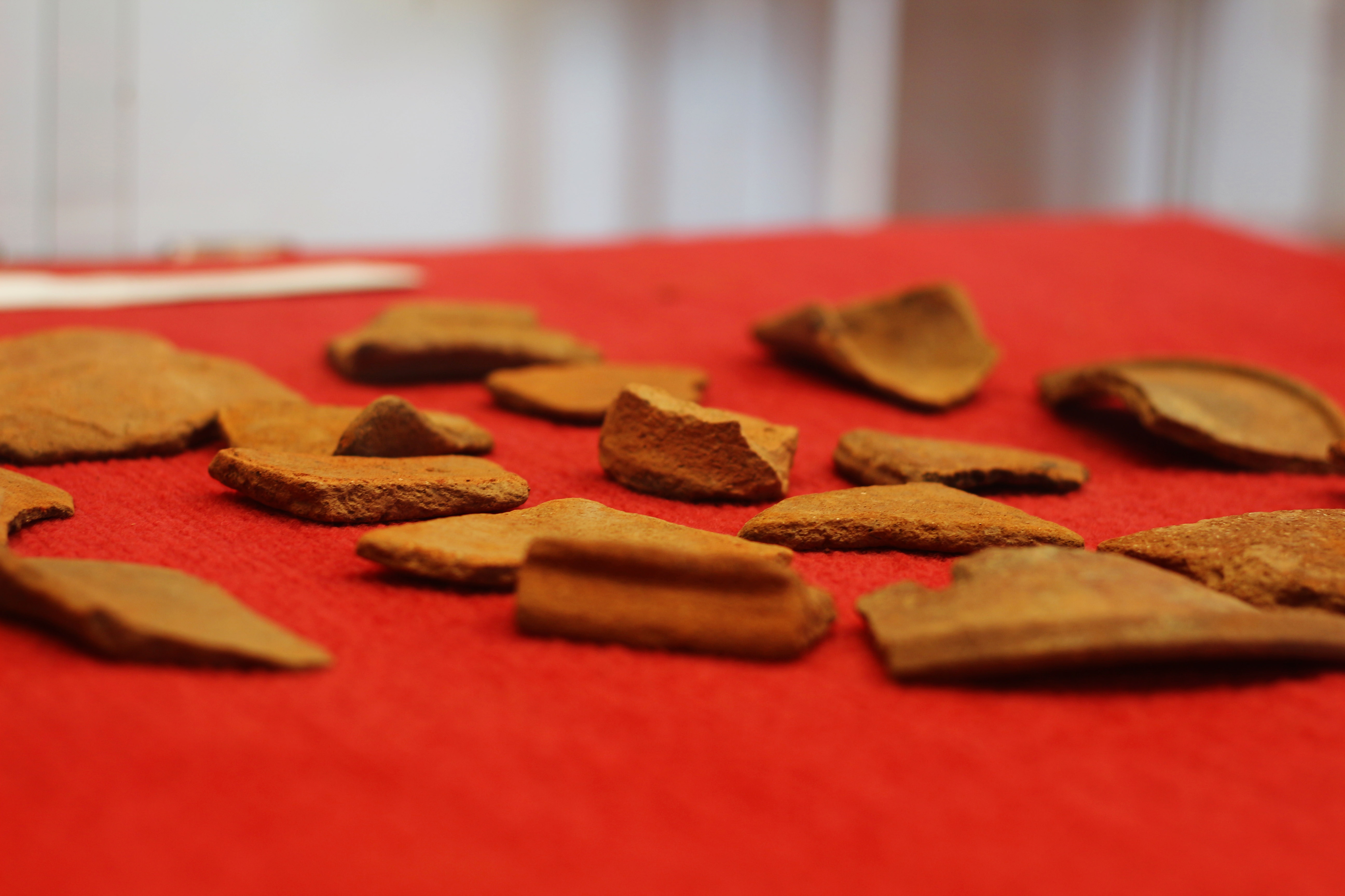 du lich dong nai anh 7