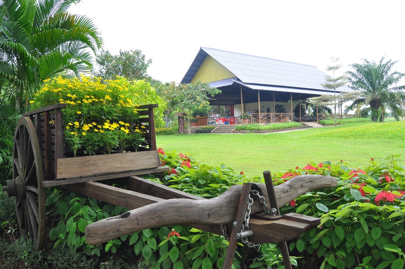 du lich dong nai anh 14