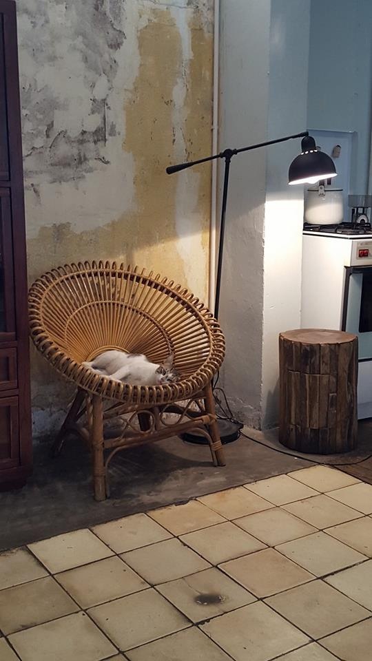 ca phe lam viec anh 4