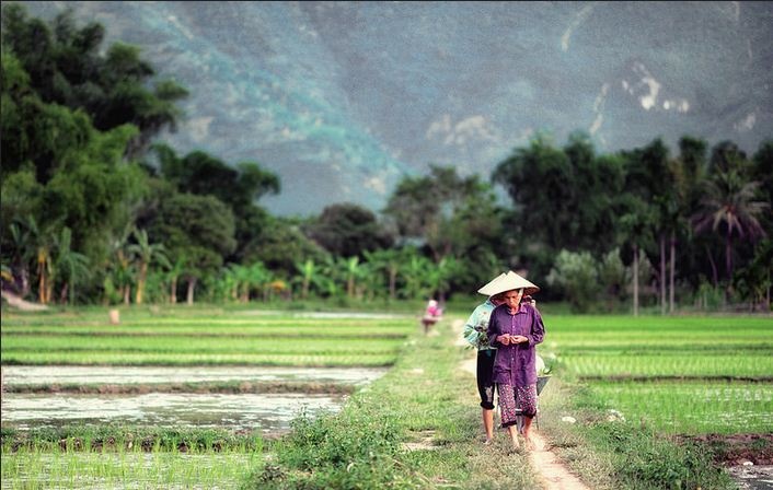 Du lịch mùa đông ở Việt Nam ảnh 10 Du lich mua dong o Viet Nam anh 10