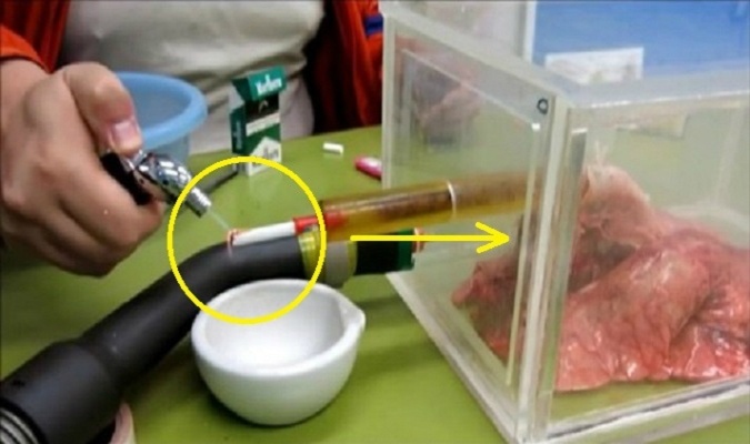 Hut 60 dieu thuoc, dieu gi se xay ra voi phoi? hinh anh