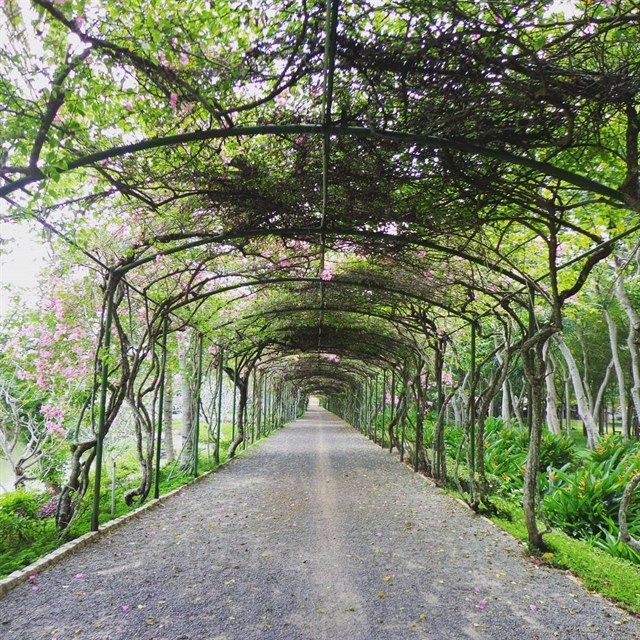 nhung diem vui choi Tet Tay o TP.HCM anh 7