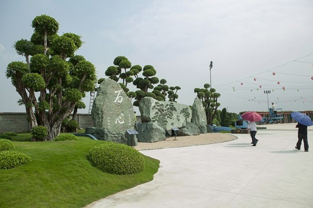 nhung diem vui choi Tet Tay o TP.HCM anh 8