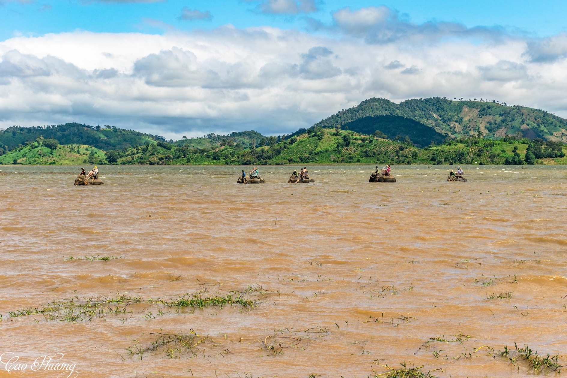 Tet Tay di dau choi anh 6