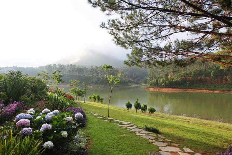 Tet Tay di dau choi anh 4