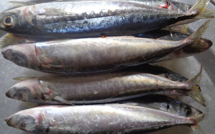 ăn gì khi bị viêm xoang ảnh 3 an gi khi bi viem xoang anh 3