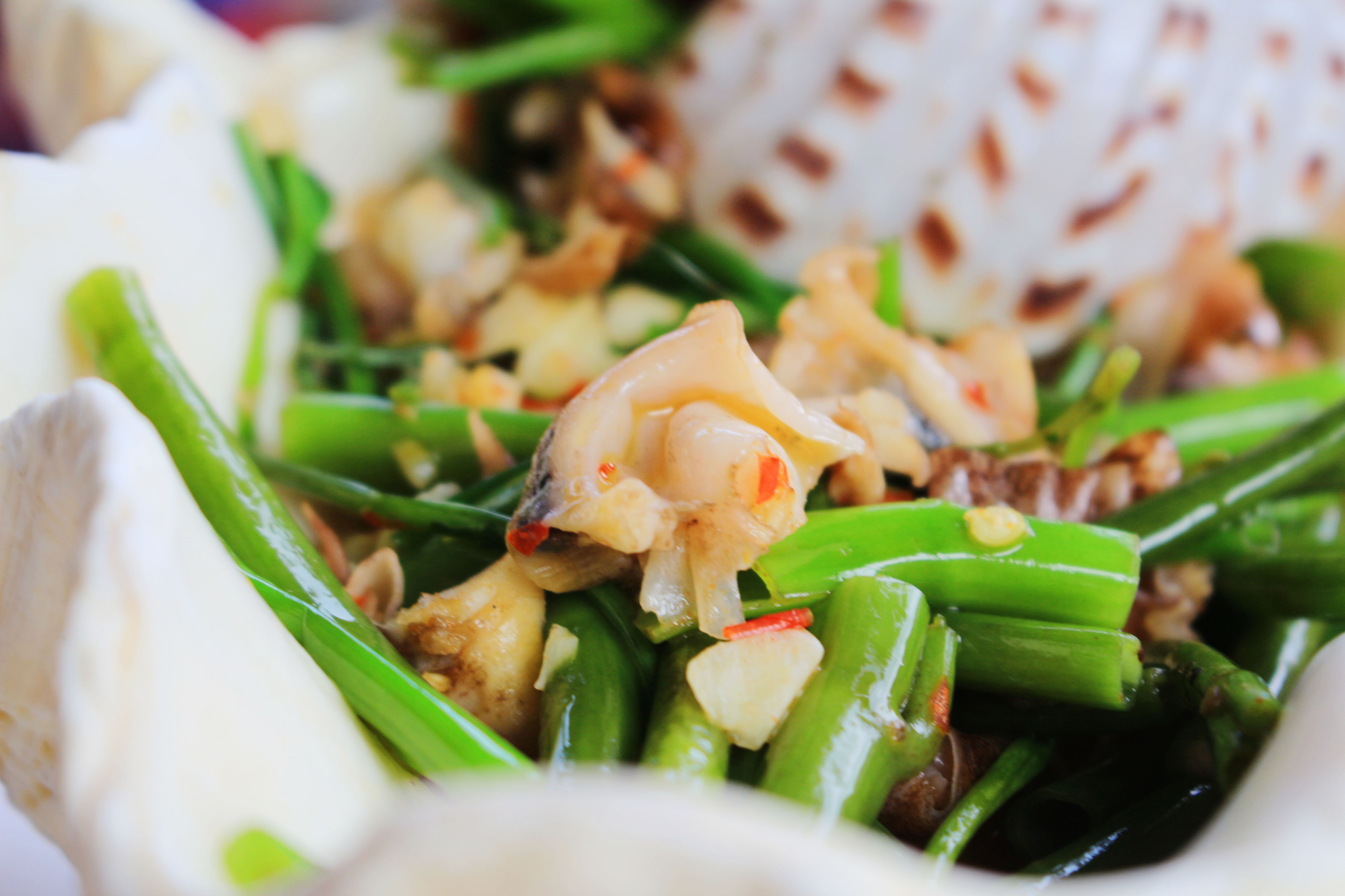 an oc o sai gon anh 9