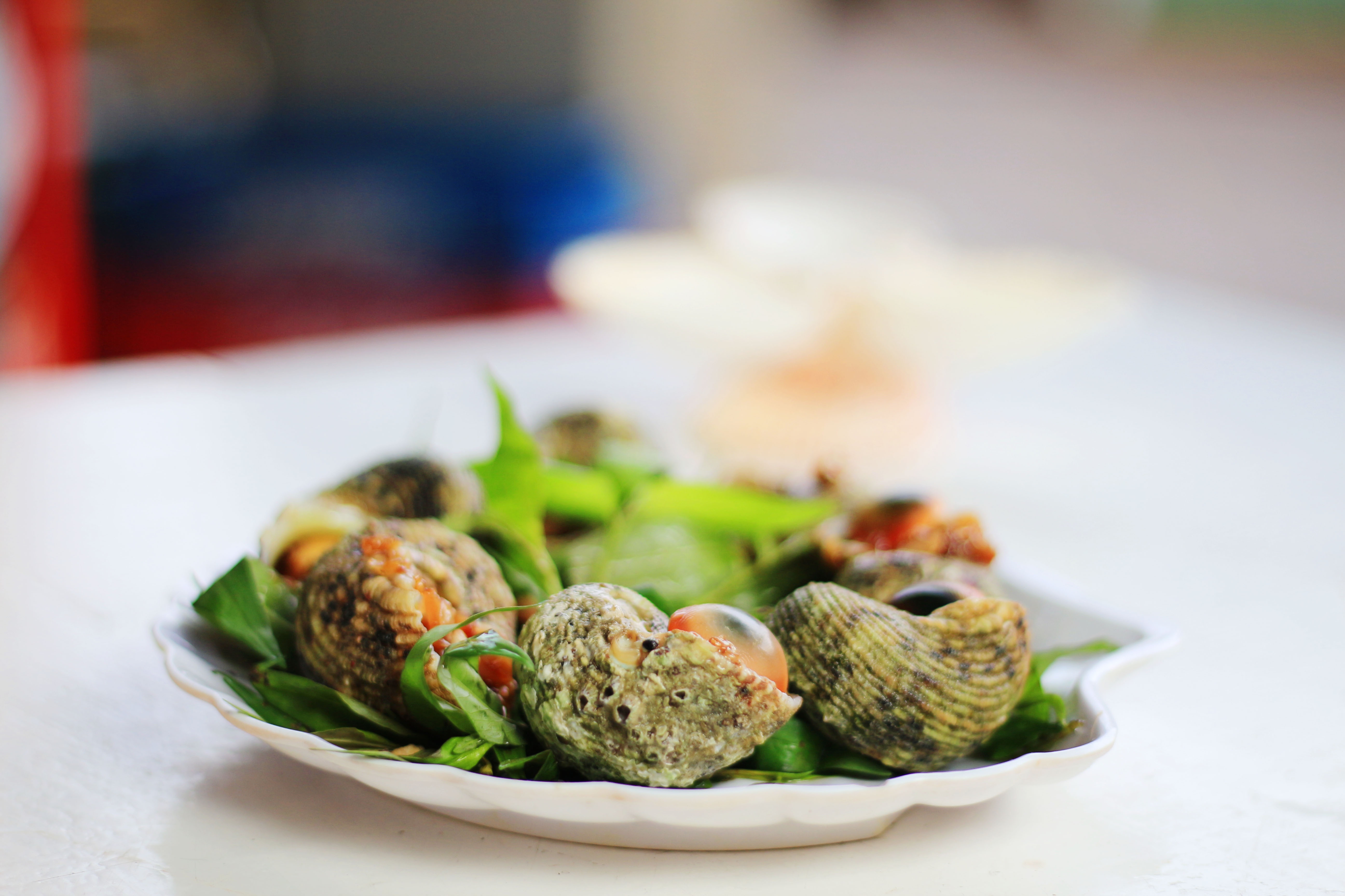 an oc o sai gon anh 10