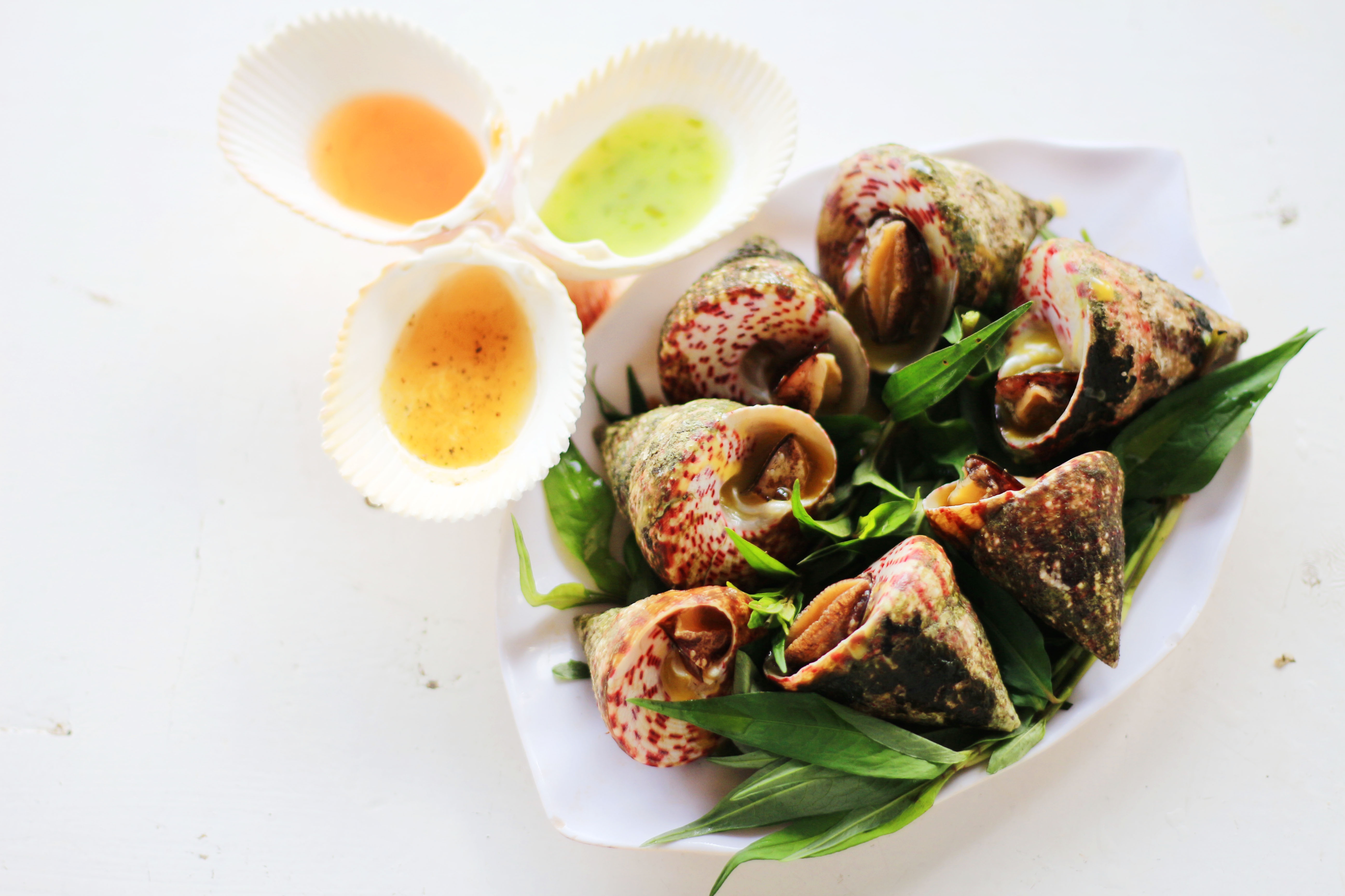 an oc o sai gon anh 11