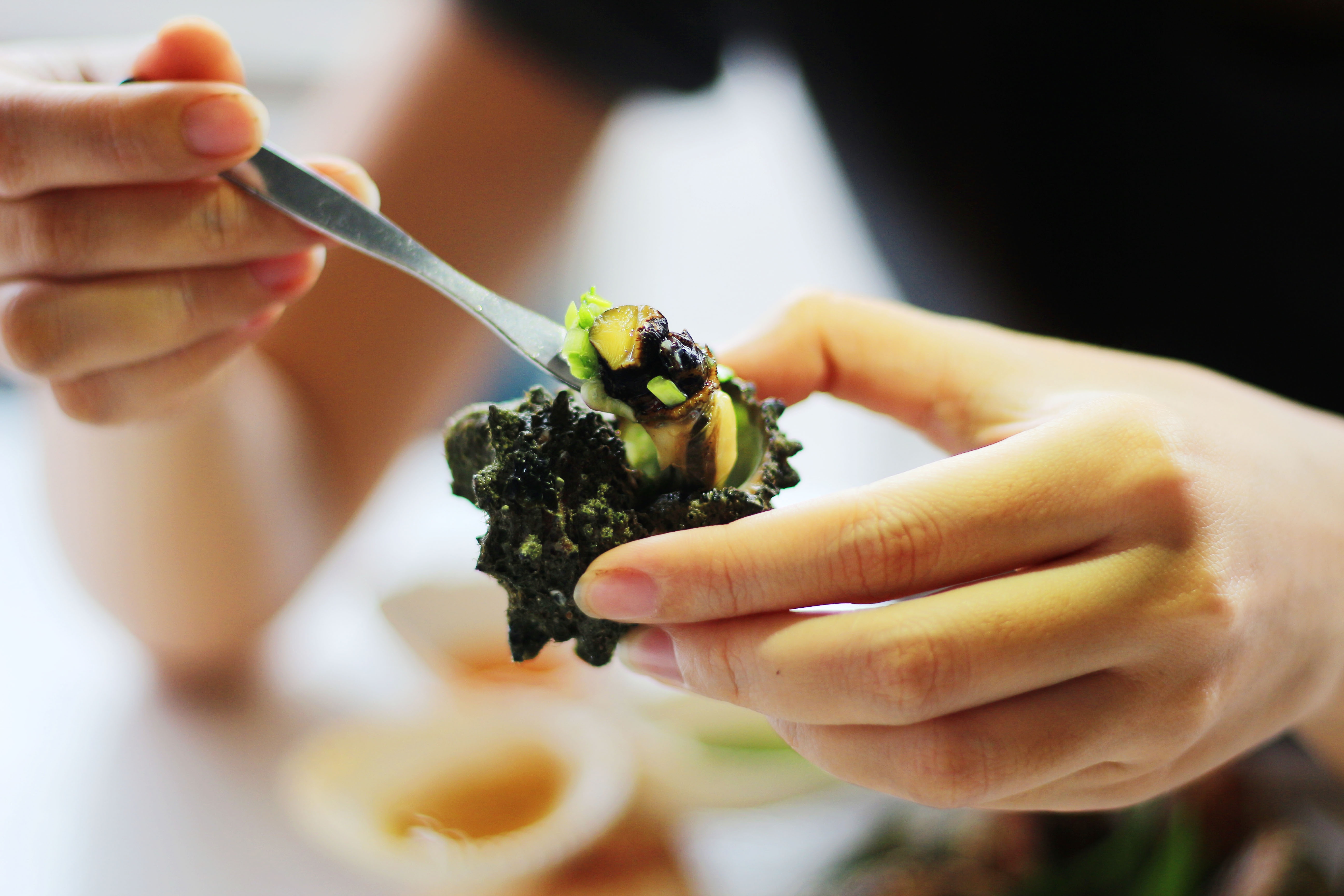 an oc o sai gon anh 6