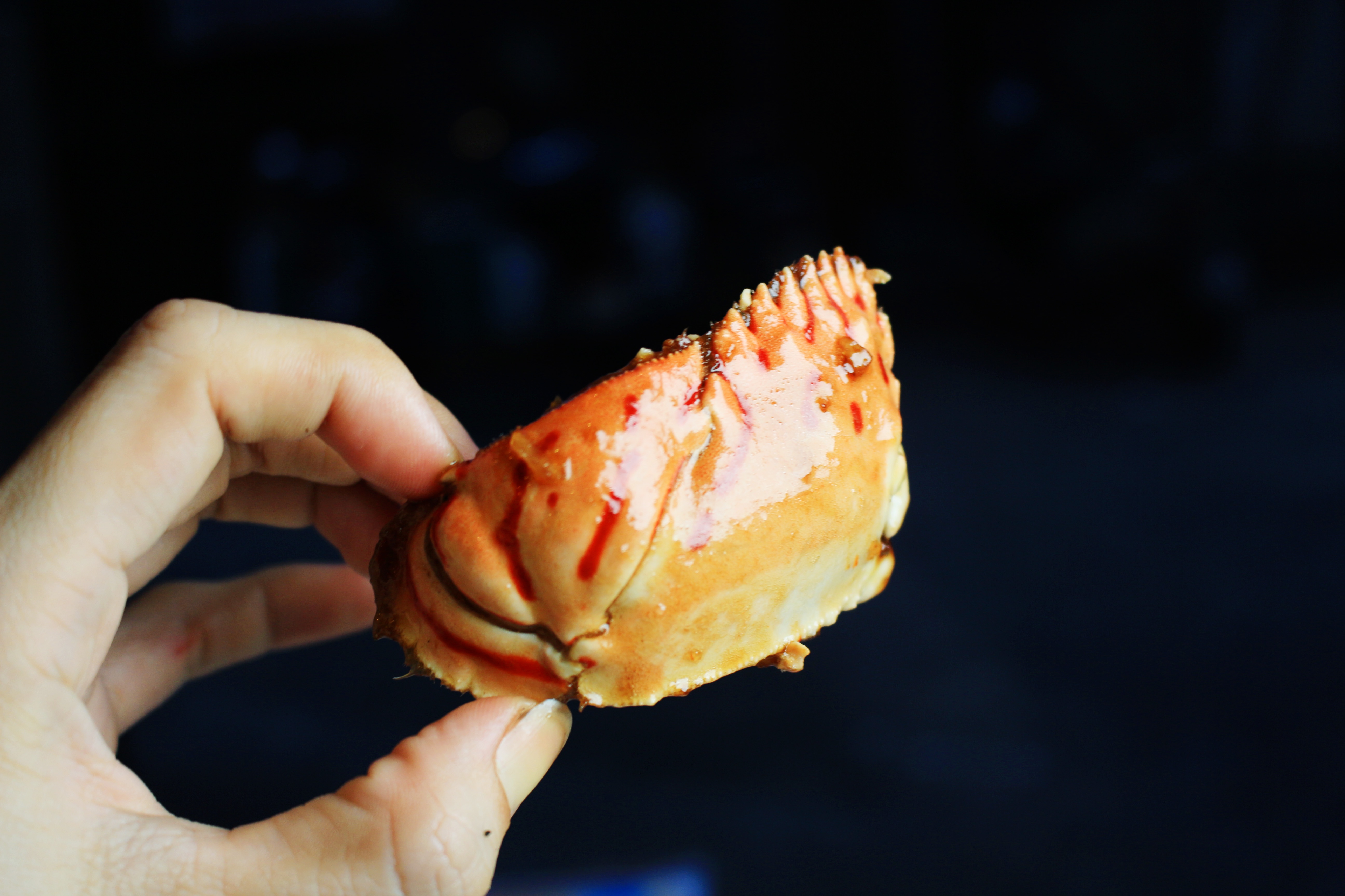 an oc o sai gon anh 2