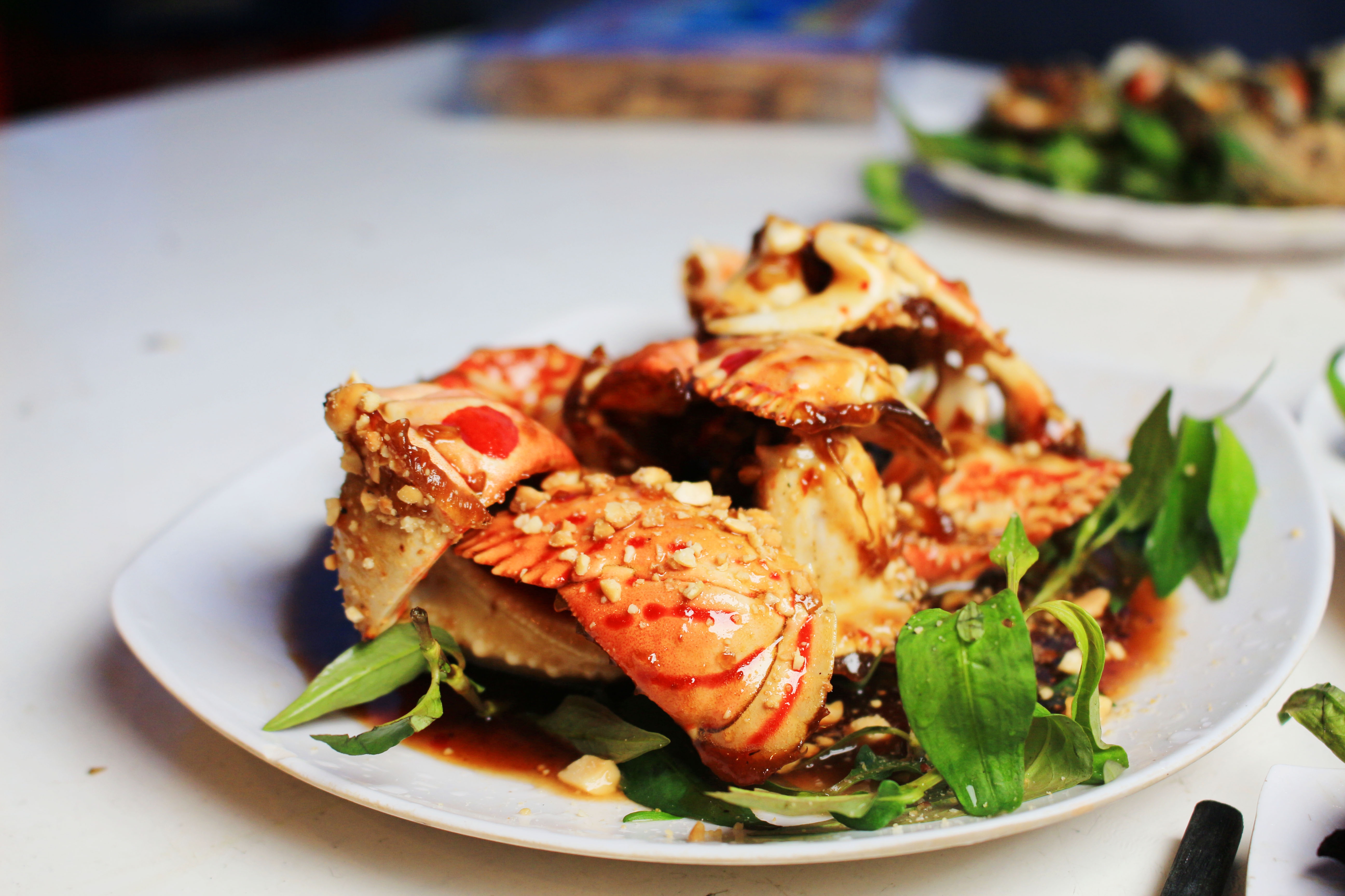 an oc o sai gon anh 1