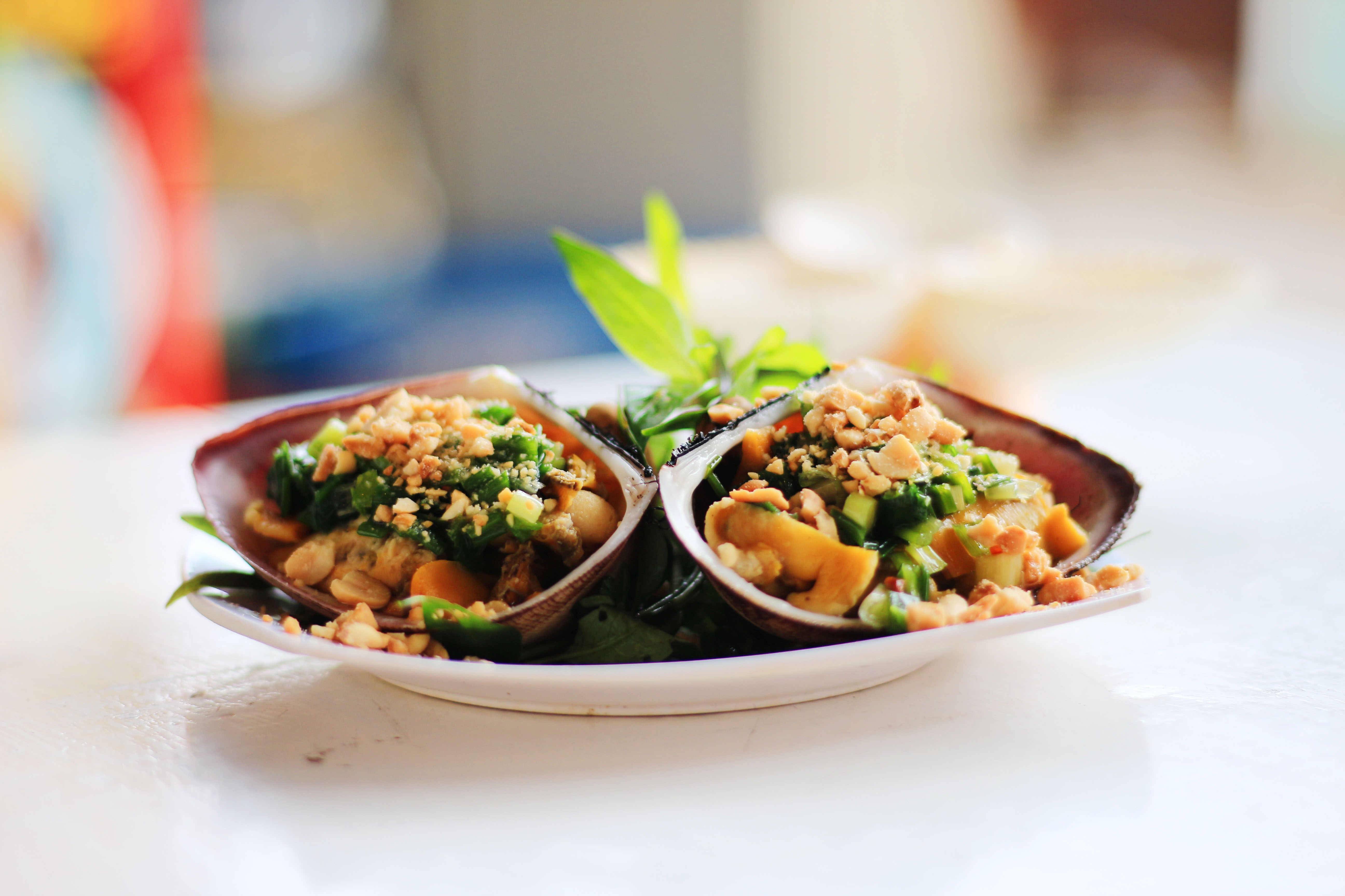 an oc o sai gon anh 3