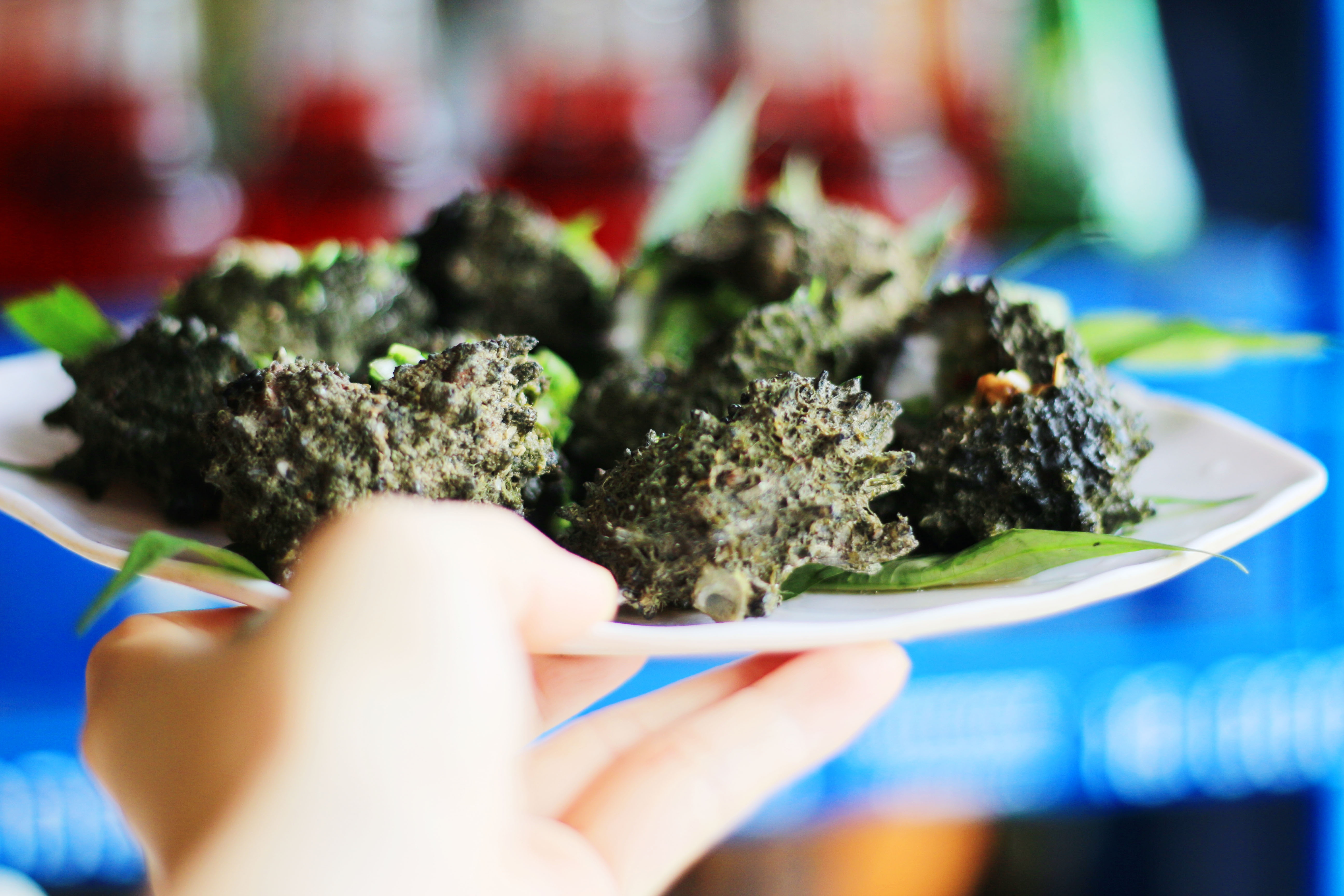 an oc o sai gon anh 5