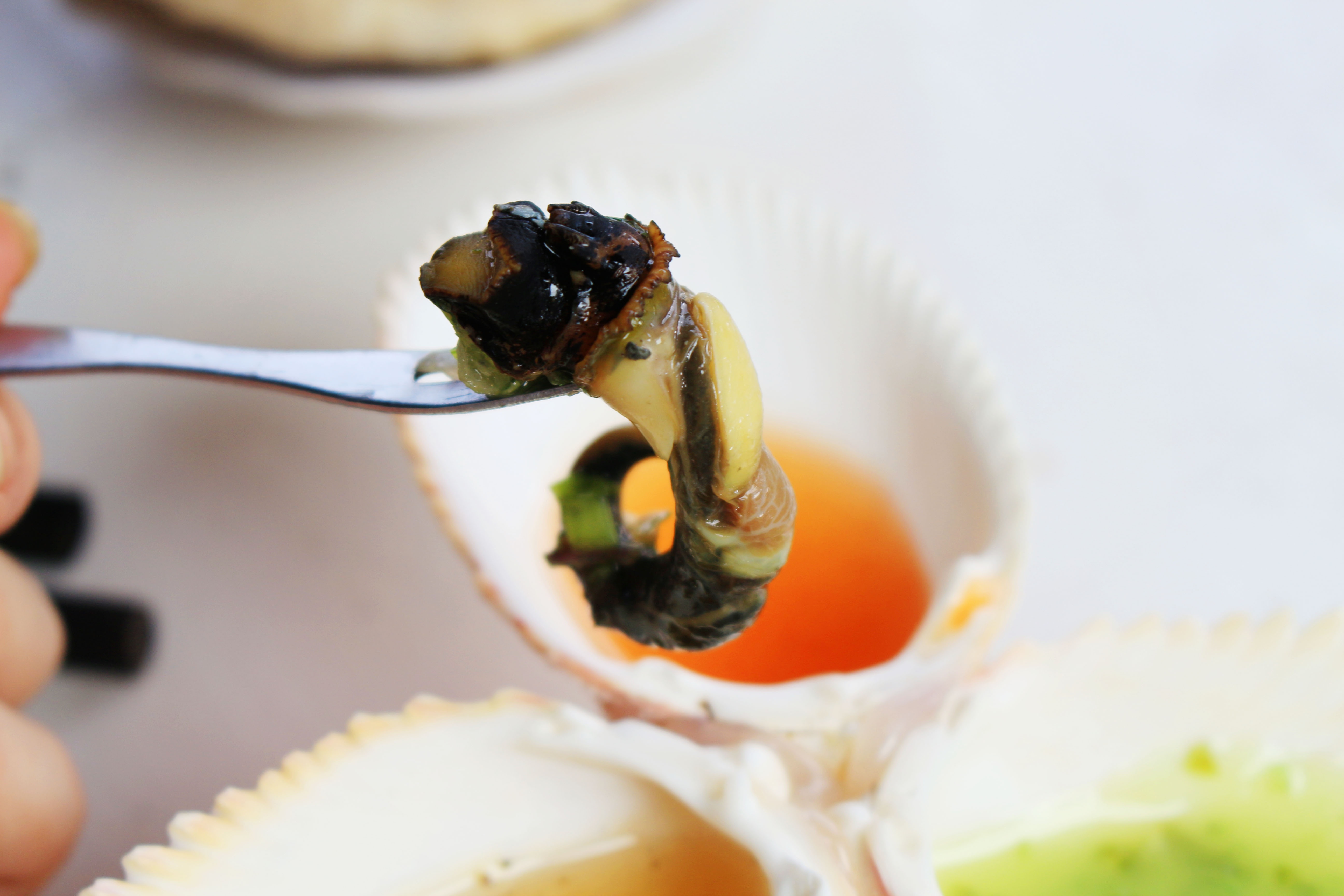 an oc o sai gon anh 7