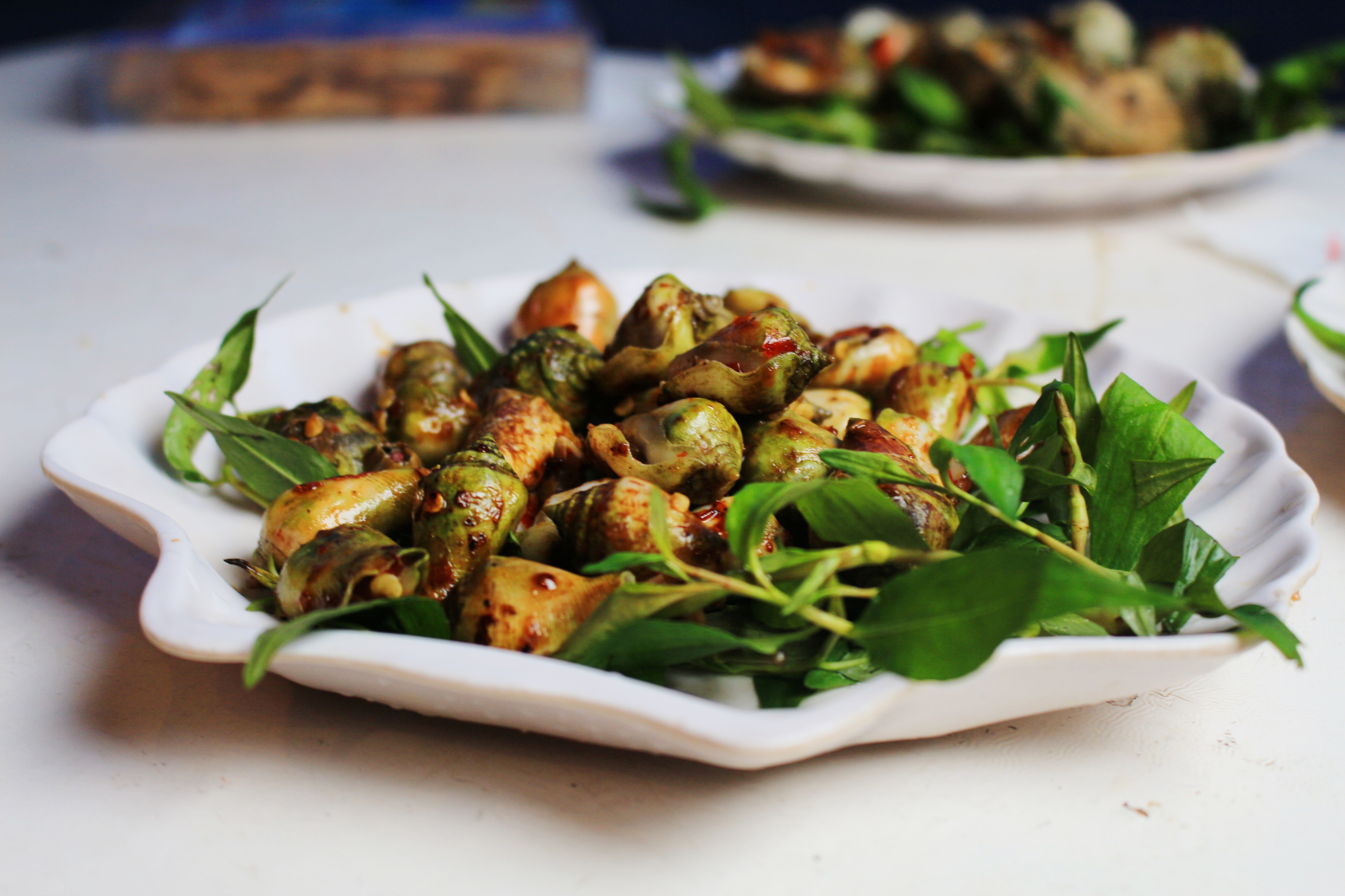 an oc o sai gon anh 13